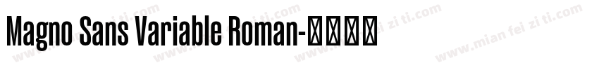 Magno Sans Variable Roman字体转换